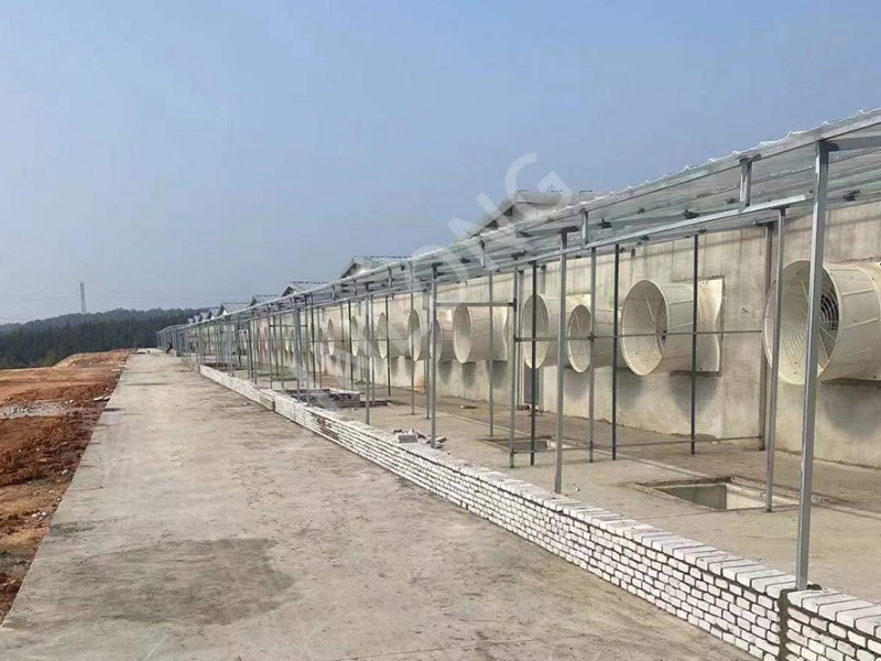 Pig Farm Case