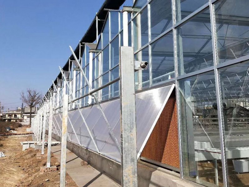 Installation Ventilation Equipments for Greenhouse