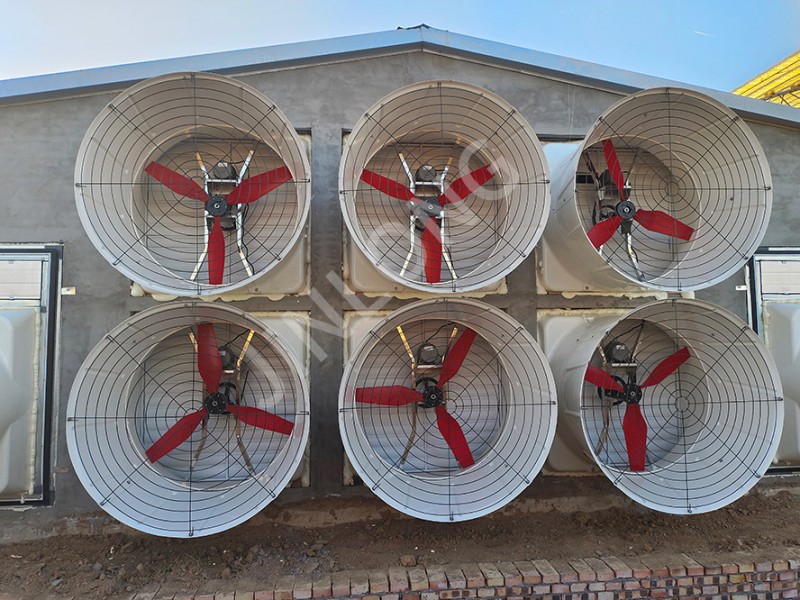 fiberglass fan