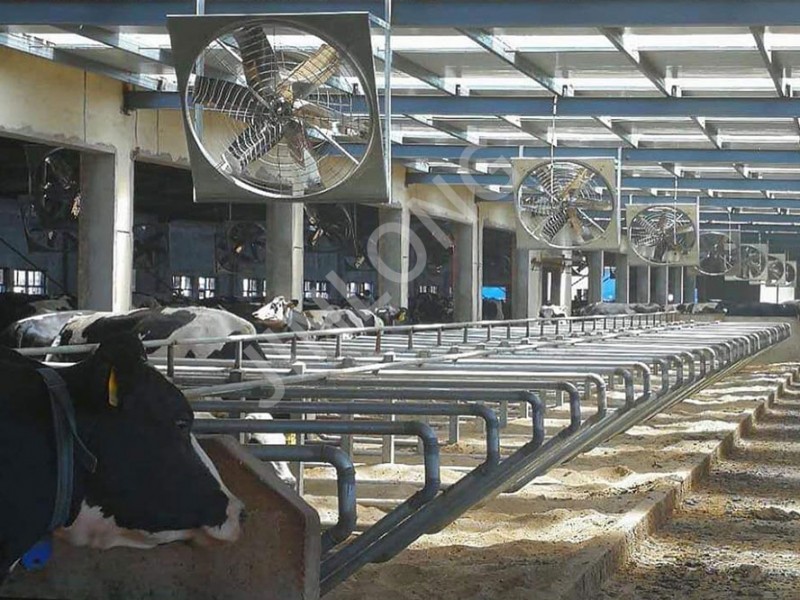 Cowhouse Exhaust Fan